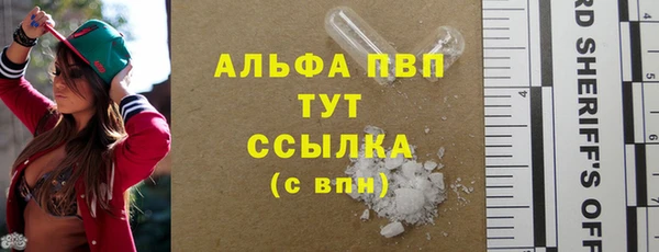 СК Верея