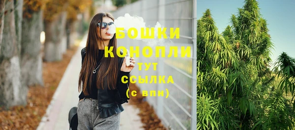 СК Верея